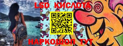 шишки Изобильный