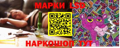 шишки Изобильный