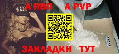 шишки Изобильный