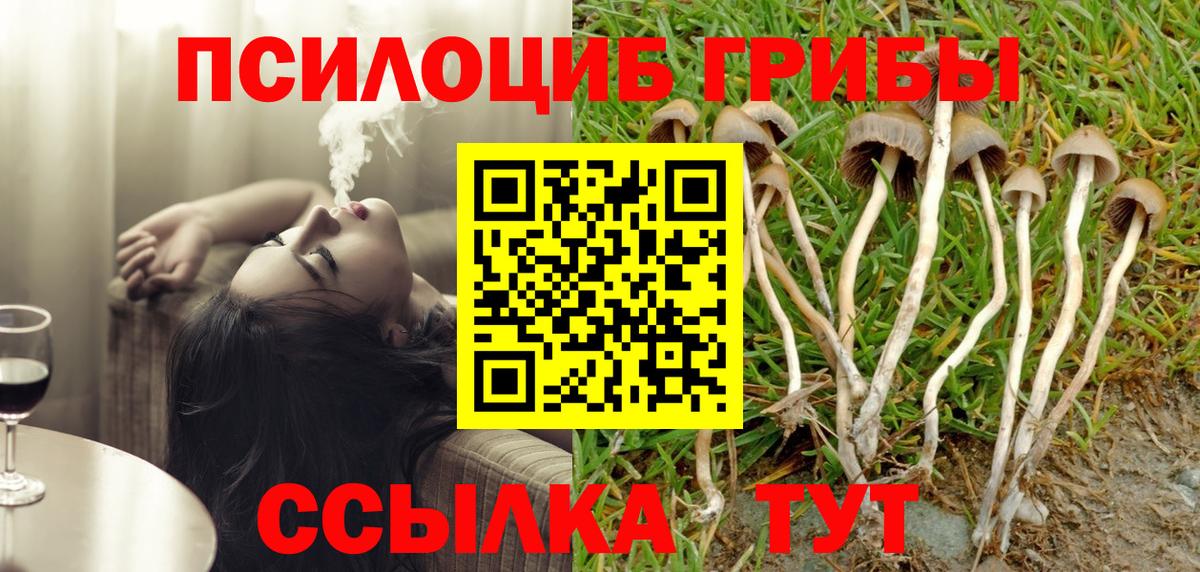 Псилоцибиновые грибы мицелий  Вход с VPN  Псилоцибиновые грибы MAGIC MUSHROOMS  Салехард 